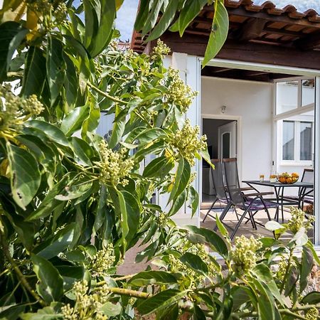 Avocado Apartment Dubrovnik Exterior photo